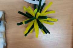 415782097_388837203656798_6527810684409070505_n