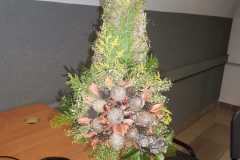 415788171_388840883656430_7334063377822188046_n