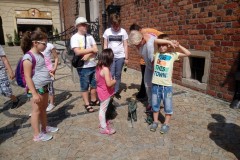 20170720_145458_Burst01